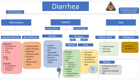 Diarrhea Differential Diagnosis Algorithm Inflammatory Grepmed