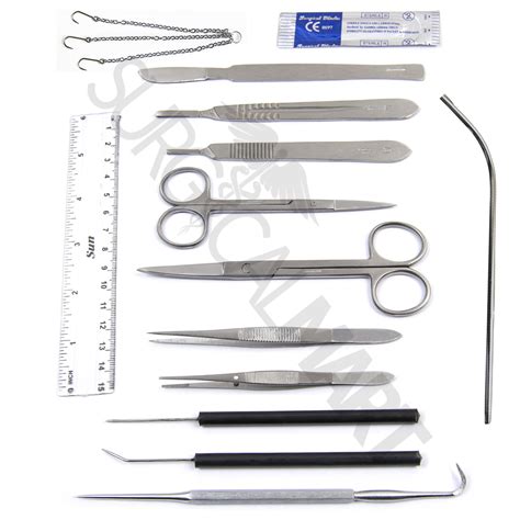 Minor Surgery Kit Surgical Dissection Tools Veterinary Dissecting Instruments Lupon Gov Ph