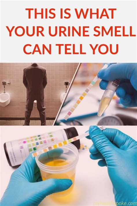 Here Are The Causes Why Your Urine Smell Strong My Healthy Poke