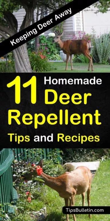 5 diy deer repellent recipes. 11 Brilliant DIY Ideas for Deer Repellents | Deer ...