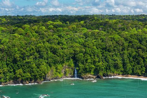 Aerial View Of Waterfall On The Coastline Of Corcovado National Park