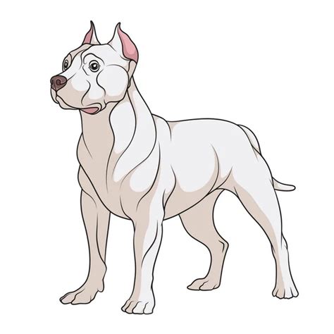 Cómo Dibujar Un Perro Pitbull Fácil