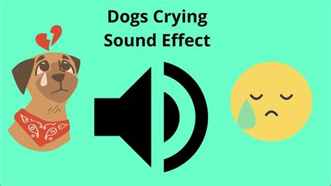 Dogs Crying Sound Effect Youtube