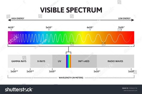 Visible Color Spectrum Sunlight Wavelength Increasing Stok Vektör