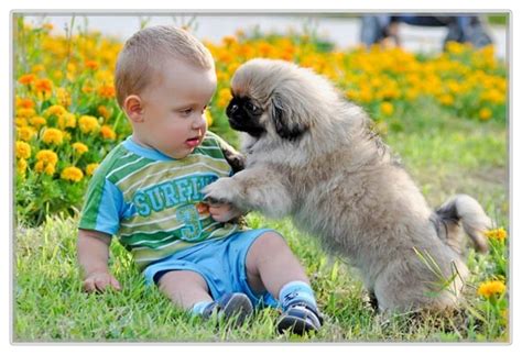 Cute Funny Kids And Animals Images Photos Funny World