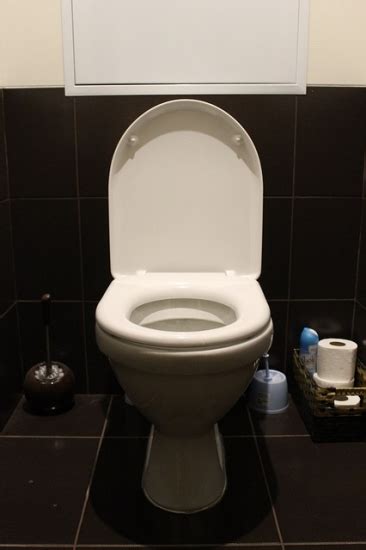 The toilet is now ready for the next flush. What to Do If There is No Water in Toilet Bowl - See Jane ...