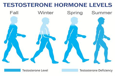 Why Do Mens Testosterone Levels Drop During The Winter