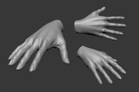 Female Hand 3d Cgtrader