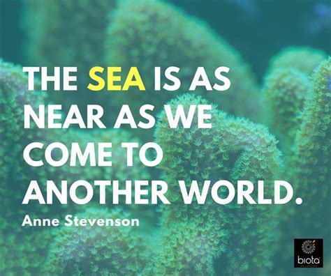 Here we have a collection of inspirational quotes about fishes in aquarium and captions to tag your pictures. 8 best Ocean Quotes: Words that Inspire Marine Conservation images on Pinterest | Ocean quotes ...