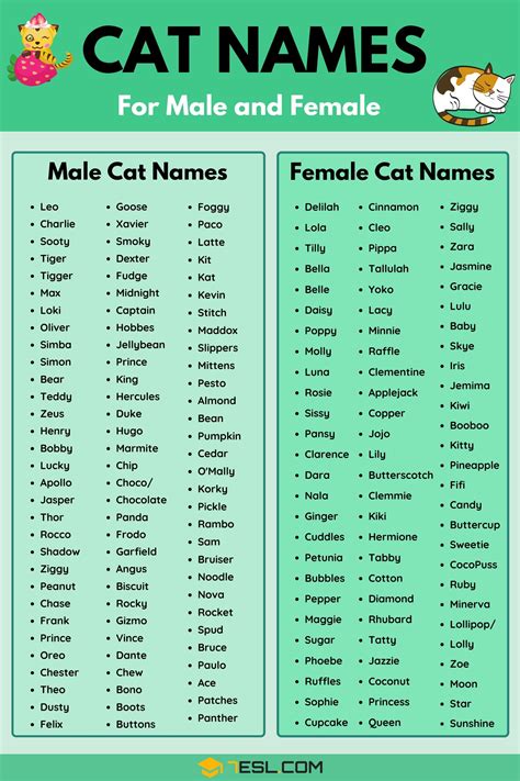 Cat Names 70 Most Popular Male And Female Cat Names • 7esl Cute Cat Names Cat Names Cute