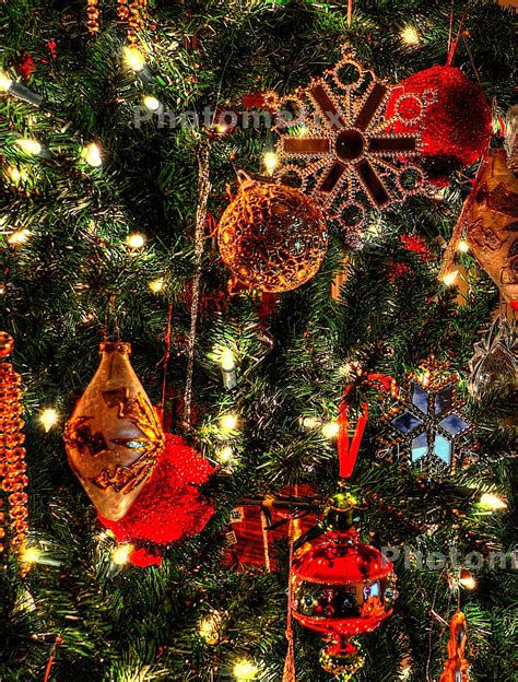 Christmas Tree In Hdr Christmas Tree Hdr Photography Holiday Decor
