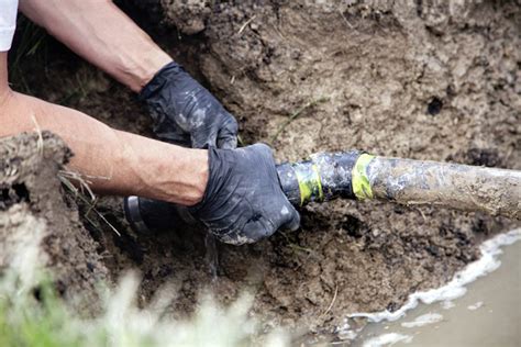 How To Clear Tree Roots From Sewer Line Consolidated Plumbing Blog