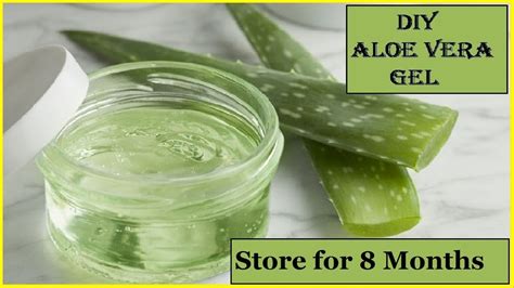 Diy Homemade Aloe Vera Gel Pure How To Make Aloe Vera Gel And