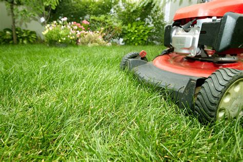 Superior lawn care has been providing top notch lawn health and lawn maintenance services in superior lawn care is pittsburgh's premier lawn care treatment company for homes and businesses. Lawn Service - Ryno Lawn Care, LLC