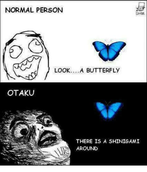Normal Person Look A Butterfly Otaku There Is A Shinigami Around Meme