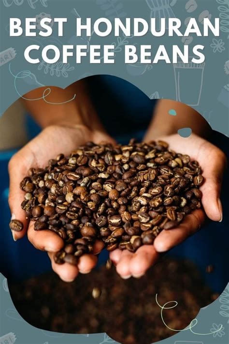 Honduran Coffee Brands And Buying Guide