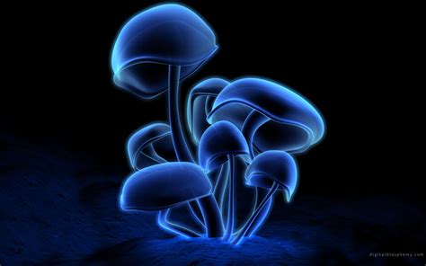 Neon Mushrooms Wallpapers 1680x1050 248545