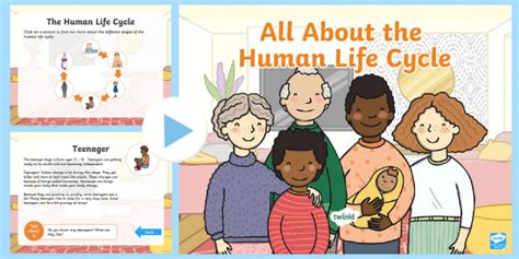 All About The Human Life Cycle Powerpoint Primary Ks1