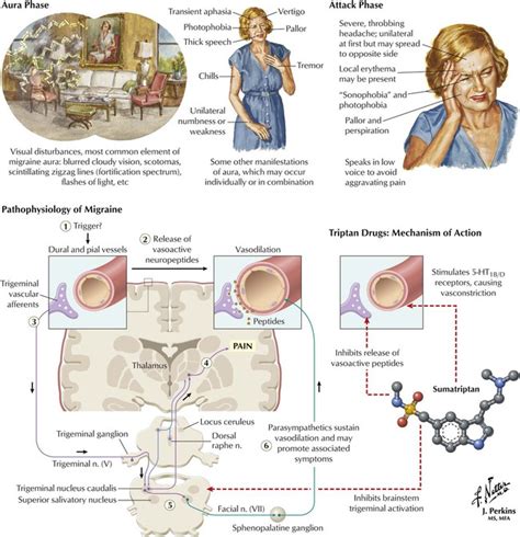 Drugs Used In Disorders Of The Central Nervous System And Treatment Of