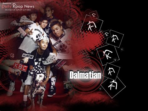 Download Dalmatians Wallpaper Daily K Pop News