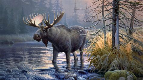 4k Elk Wallpapers Top Free 4k Elk Backgrounds Wallpaperaccess