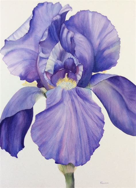How To Paint An Iris 10 Amazing And Easy Tutorials Artofit