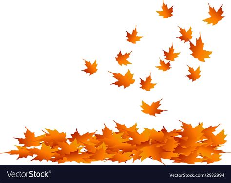 Maple Leaves Falling Royalty Free Vector Image