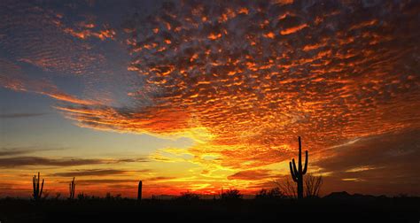 Fiery Desert Skies Over The Sonoran Photograph By Saija Lehtonen Fine