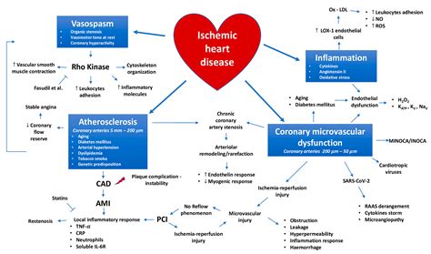 Pathophysiology Of Cardiac Disease Treatment Pelajaran