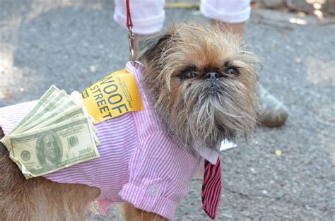 19 Of The Best Dog Halloween Costumes From The Nyc Tompkins Sq Parade