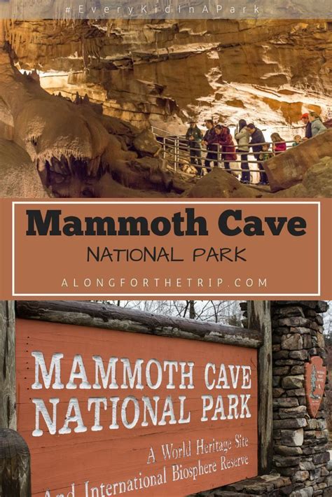 Exploring Mammoth Cave National Park Artofit