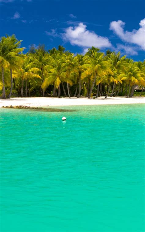 Download Wallpaper 800x1280 Summer Maldives Tropical Beach Palm