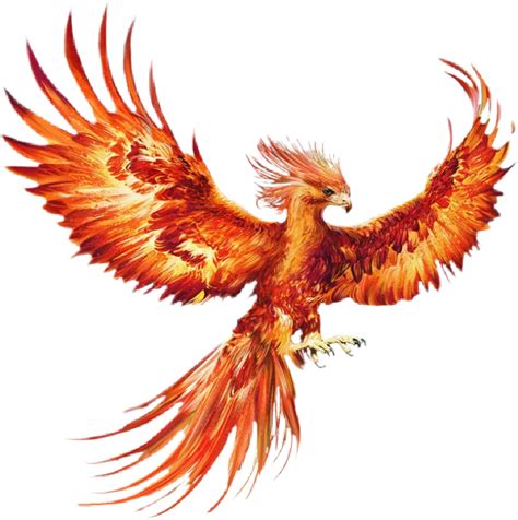 The resolution of png image is 600x600 and classified to harry potter logo ,phoenix bird ,harry styles. phoenix faukes harry_potter harrypotter dumbledore fawk...