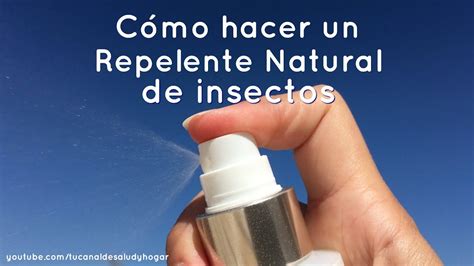 C Mo Hacer Un Repelente Casero Para Insectos Youtube