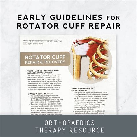 Early Guidelines For Rotator Cuff Repair Therapy Insights