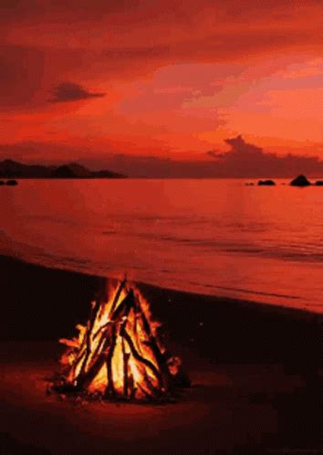 Sunset Gif Sunset Discover Share Gifs Vrogue Co