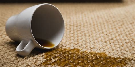 This Stain Removal Database Will Change Your Life. Trust Us. | HuffPost