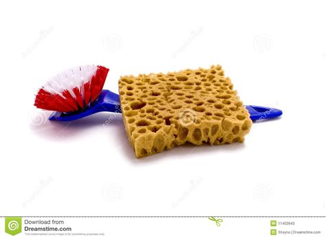 Sponge And Brush Stock Image Image Of Broom Healthcare 11403943