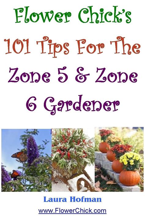 Our new arrivals section showcases the latest sages and companions in our online catalog whether new to commercial horticulture or only to our gardens. 101 Gardening Tips For Zone 5 & 6