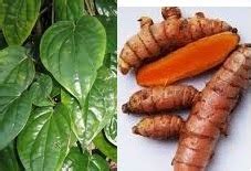 Minyak ini meredakan gatal dengan meningkatkan kadar antioksidan, yang bekerja menstabilkan radikal bebas di tubuh, menetralkan atom reaktif cara menggunakan daun peppermint atau mint ke kulit yang gatal yaitu dengan mencampurkan minyak daun mint dengan pelembab yang biasa kamu. AL HIJRAH MUAMALAT: PETUA HILANGKAN GATAL-GATAL DAN SAKIT ...