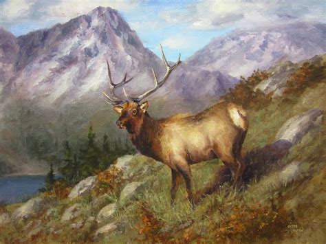 Pin On Wildlife Paintings