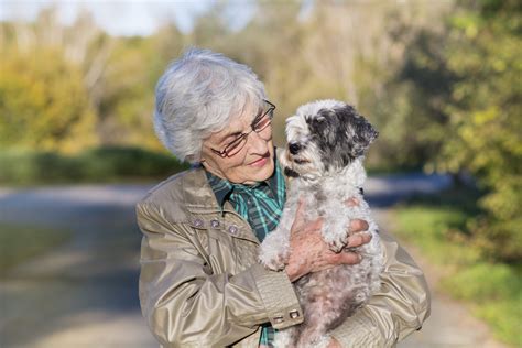 5 Things Seniors Need To Ask Before Adopting A Pet