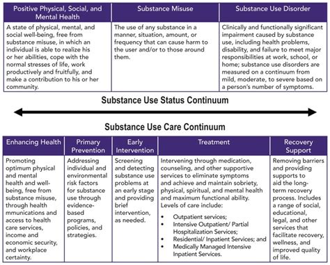 Figure 41 Substance Use Status And Substance Use Care Continuum
