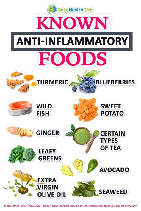 Dogs with the following conditions can benefit from these supplements Top 10 Foods To Add To Your Anti-Inflammatory Diet