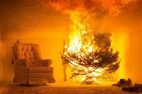 Keeping Your Christmas Tree Fire Free