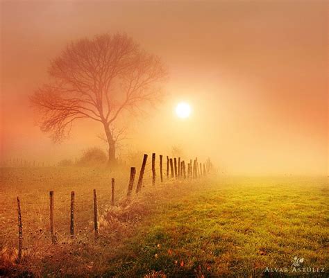 Golden Fog By Alvar Astúlez On 500px Sunrise Photography Landscape