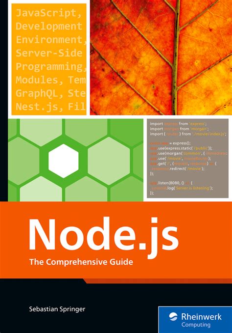 Nodejs The Comprehensive Guide Book And E Book
