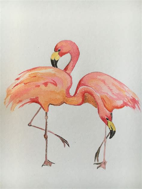 Flamingos Watercolor Beautiful Birds Art Inspiration Watercolor