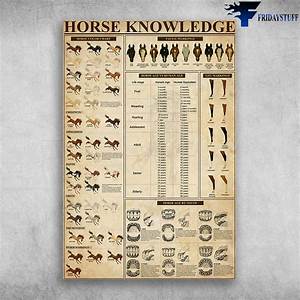 Horse Knowledge Horse Color Chart Horse Age Vs Human Age Fridaystuff