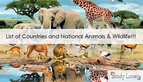 List Of Countries And Their National Wildlife And Animals With Images